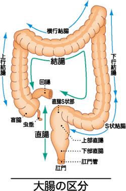 が ん 症状 直腸 膀胱直腸障害