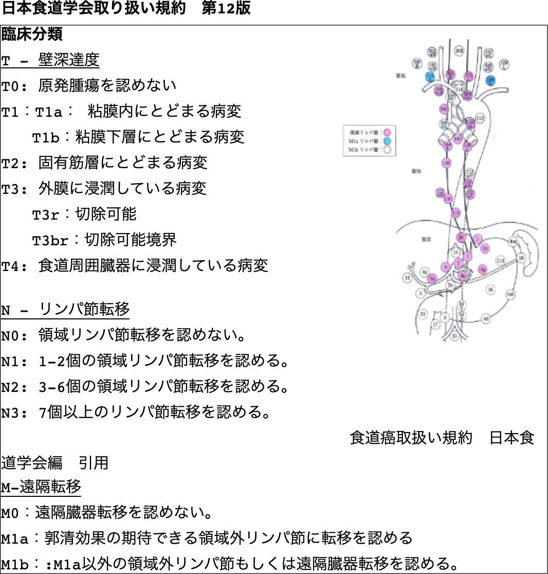 進行度診断に基づく治療方針 | 近畿大学医学部 外科学教室
