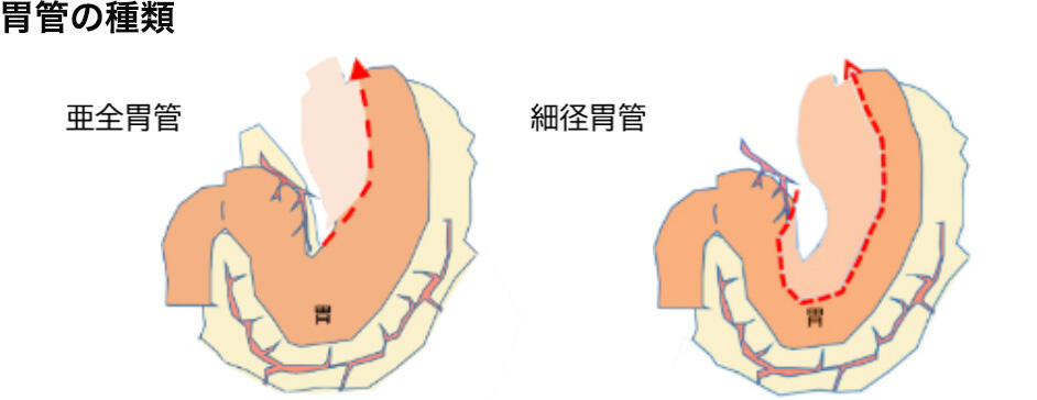 Thoracic03_10.jpg