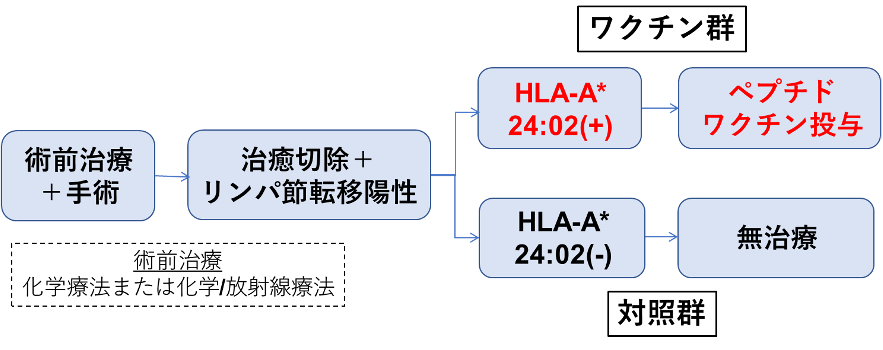 試験デザイン